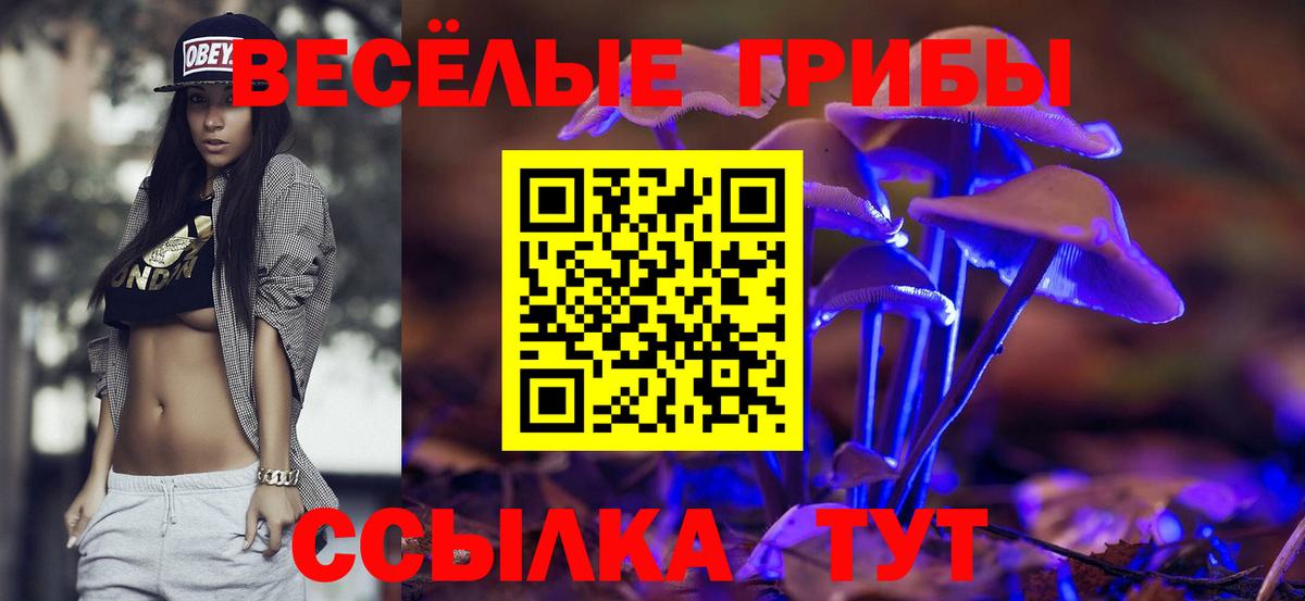 Кизляр  Псилоцибиновые грибы прущие грибы  Вход с VPN 