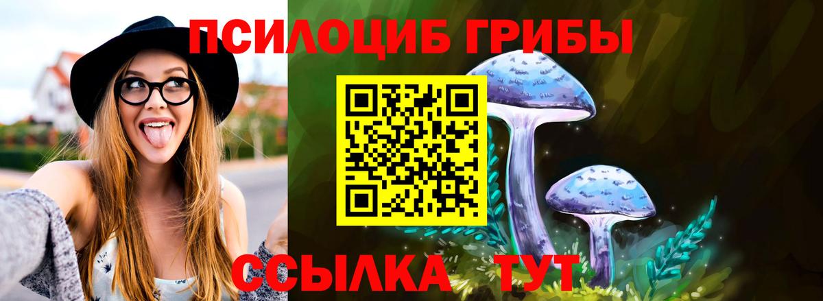 Псилоцибиновые грибы GOLDEN TEACHER Кизляр